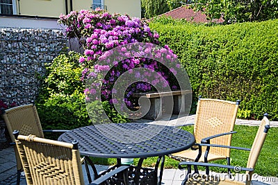 Garden with garden table and rhododendron Stock Photo