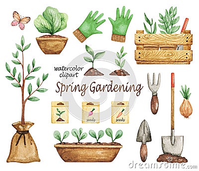 Garden tools clipart watercolor, gardening time set, plants in pots, seedling, farm equipments, spring garden illustration Stock Photo