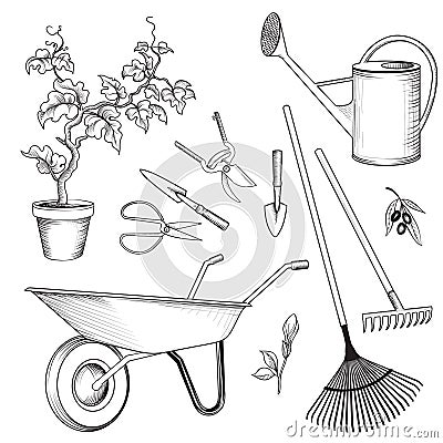 Garden tools set. Gardening plant, watering can, wheelbarrow, ra Stock Photo