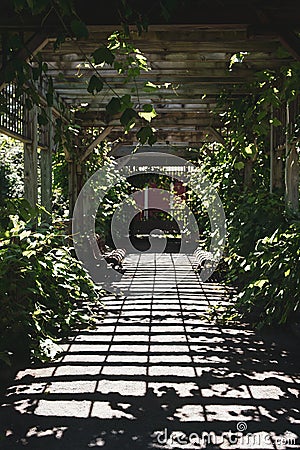 Garden walkway in a grid shadow Stock Photo