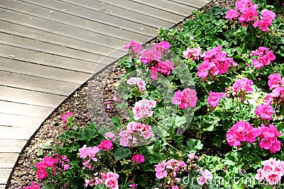 Garden and walkway Stock Photo