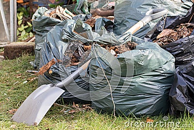 Garden waste. Brown leaves and rubbish collected from gardening tidy Stock Photo