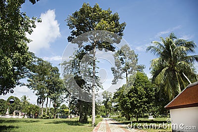 Garden of Wat Kiean Bang Kaew in Phatthalung, Thailand Stock Photo