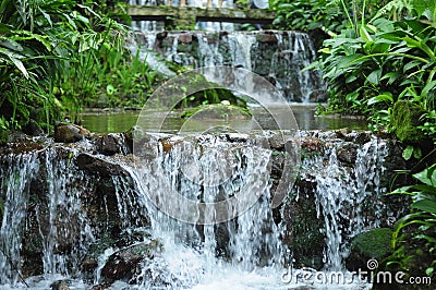 Garden waterfall good place for relax Stock Photo