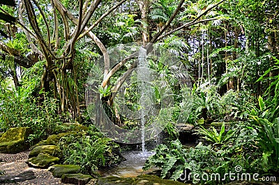 Garden with waterfall Stock Photo