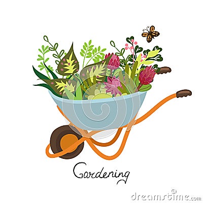 Garden wheelbarrow with flowers isolate on a white background. Vector graphics Stock Photo