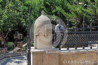 Garden with wrought iron fence and stone pillars Editorial Stock Photo