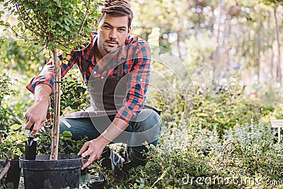 Gardener in apron planting tree while working in garden Stock Photo