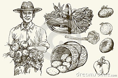 Gardener with basket of harvested vegetables. Hand drawn illustratio Vector Illustration