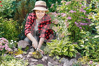 Gardener care of flowers in the garden Stock Photo