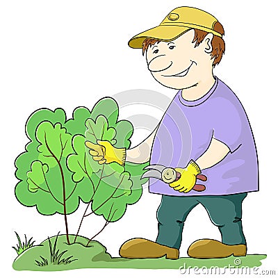 Gardener cuts a bush Vector Illustration