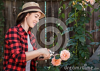 Gardener girl trimming flowers Stock Photo