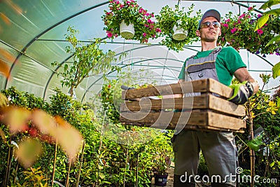 Gardener Greenhouse Work Stock Photo