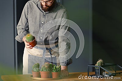 Gardener in grey shirt working at orangery with cacti on wooden table Stock Photo