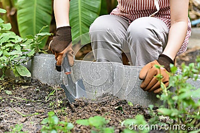 Gardener hand planting in backyard garden, Woman in gloves using hand shovel tool for seedling, Soil preparation Stock Photo