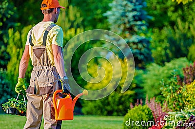 Gardener and His Garden Job Stock Photo