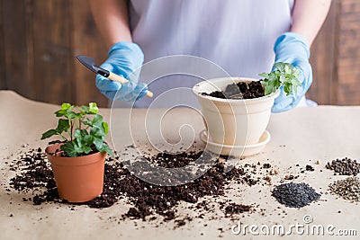 Gardener hold shovel work indoor gardening hobby Stock Photo