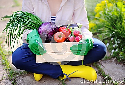 Gardener holding wooden crate with fresh organic vegetables from farm Stock Photo