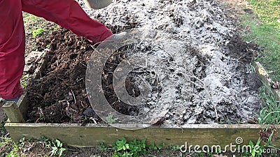 Gardener Insert Wood Ash Fertilizer In Compost Heap Soil Stock