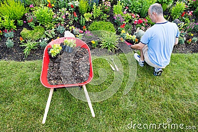 Gardener landscaping a garden Stock Photo