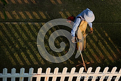 A gardener mowing green wild grass field using grass cutter mowe Stock Photo