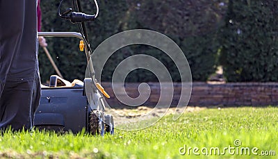 Gardener Operating Soil Aeration Machine on Grass Lawn Stock Photo