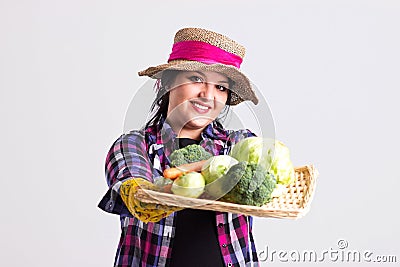 Gardener Shows a Vegetables on Tray Stock Photo