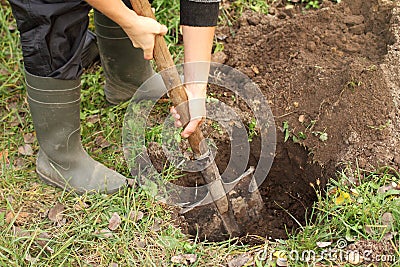 Autumn land preparation for planting of plants Stock Photo