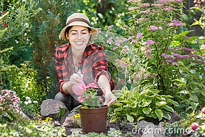 Gardener spraying water on flowers Stock Photo