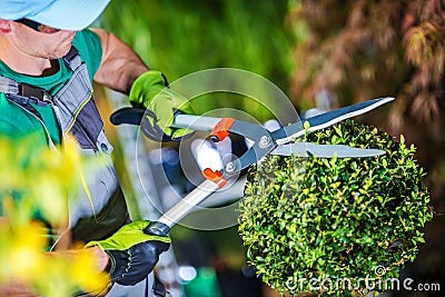 Gardener Trimming Plants Stock Photo