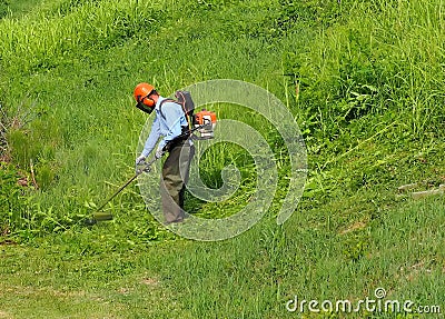 A gardener trims the grass in a downhill field with a weed eater. He wears all the prescribed safety clothes and accessories Stock Photo