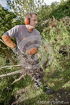 Gardener using a chainsaw Stock Photo