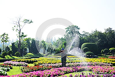 The gardener is watering the flowers at the park at Long 9 Park. Bangkok Thailand The beautiful flower garden in Bangkok`s big cit Editorial Stock Photo