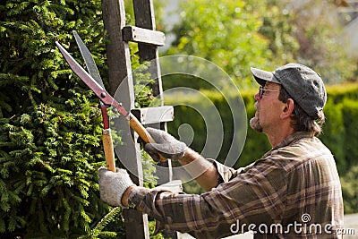 Gardener during work Stock Photo