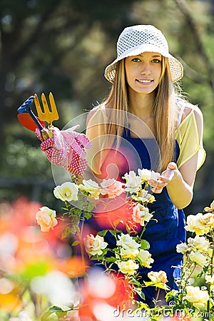 Gardener working in roses plant Stock Photo