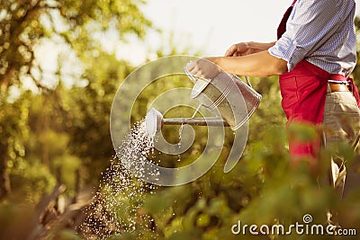 Gardener Stock Photo