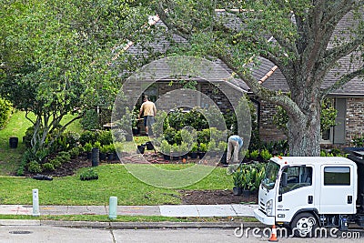 Gardeners landscaping a suburban house in Lakeview neighborhood Editorial Stock Photo