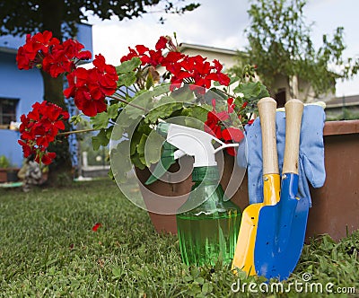 Gardening Stock Photo