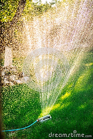Gardening - automatic lawn watering system with circular sprinklers. Water drops everywhere Stock Photo