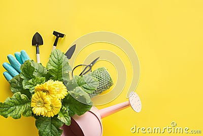 Gardening background with yellow gerbera, tolls and garden flowers plant on yellow background Stock Photo