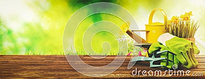 Gardening banner - gardener tools on green garden background Stock Photo