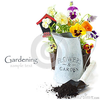 Gardening. Stock Photo