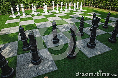 Gardening is a chessboard. Stock Photo