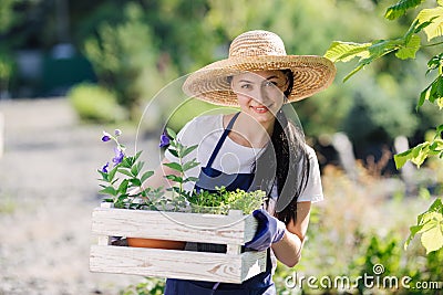 Gardening concept. Beautiful young woman gardener with flowers in wooden box Stock Photo