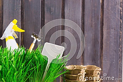 Gardening concept with green grass, tools, sprayer, organic pots and white label for text Stock Photo