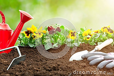 Gardening concept - Set of tools for gardener and pansy plants in sunny garden Stock Photo