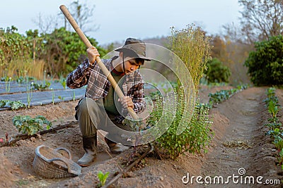 Gardening concept a young farmer shoveling the dirt around the plants to let oxygen get through the roots easily Stock Photo