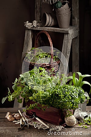 Gardening in the country Stock Photo