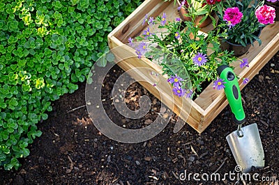 Gardening. Crate Full of Flowerpots and Garden Tools Ready for Planting In Sunny Garden. Spring Garden. Stock Photo