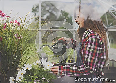 Gardening Cultivate Growth Seedling Plants Concept Stock Photo